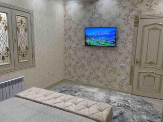 Luxury Huge Apartment - 1
