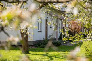 Apartamenty Przylesie - Polanica-Zdrój - 5