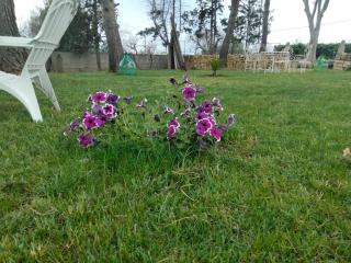 Giardino dei Baroni house - 3