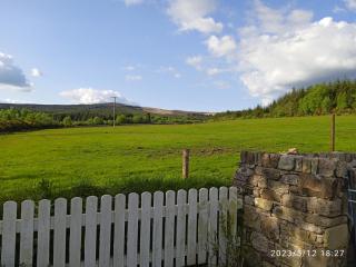 Nire Valley Cottage - - 4