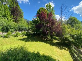 Buchensteinblick - 5