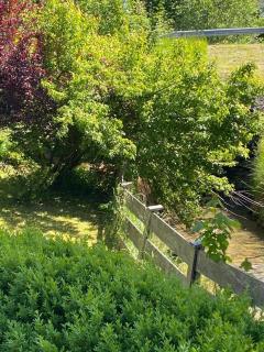 Buchensteinblick - 1