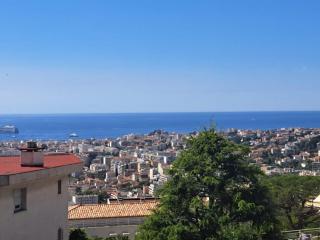 Luxurious sea view apartment Cannes Vieux Cannet - Le Cannet - 6