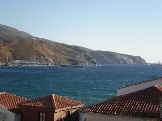 Panos House Andros - Andros - 7