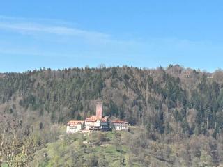 1-Zimmerapartment mit Burgblick - 1