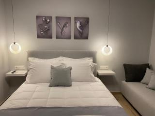 Camelia luxury apartment - Karistos - 4