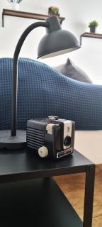 Guesthouse Tree Rooms Industrial - Bergamo - 3