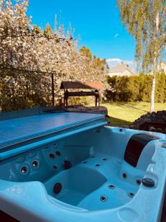 Exclusive Jacuzzi Villa Kretinga - Kretinga - 4