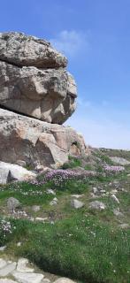 Mobilhome emplacement 2 - Plougrescant - 1