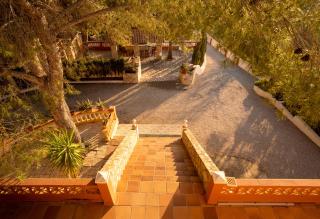 Finca Montana - 5
