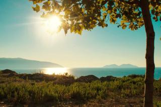 Vila Hodo - Vlorë - 6