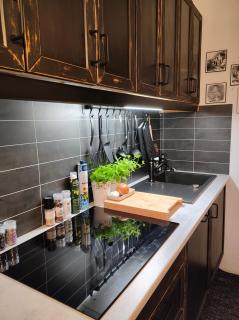 Studio White Bears - 4