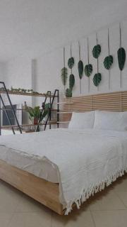 Φρίντα στο κέντρο της Ορεστιάδας - 2