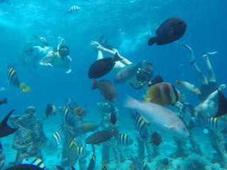 Fantastic Cottages - Gili Meno - 1