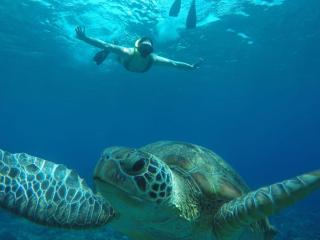 Fantastic Cottages - Gili Meno - 2
