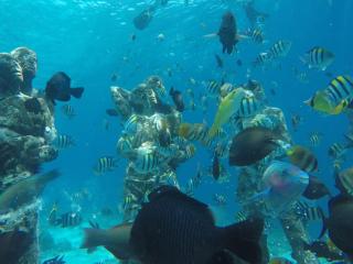 Fantastic Cottages - Gili Meno - 4
