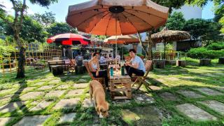 Ninh Binh Bamboo Farmstay - Ninh Binh - 5