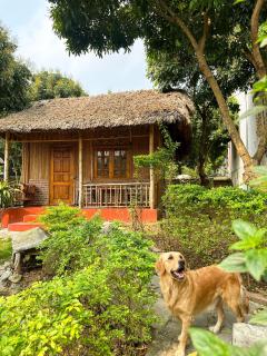 Ninh Binh Bamboo Farmstay - Ninh Binh - 9