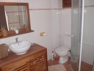 villa bois style créole - Le Robert - 6