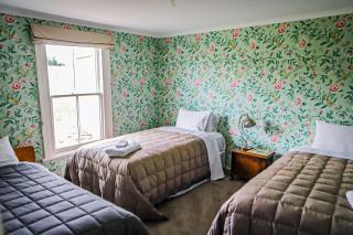 Taieri Bank Cottage - Middlemarch, Otago - Middlemarch - 7