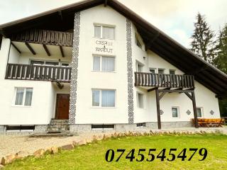 Casa Bradut - Dorna-Arini - 2