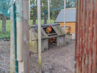 The Coach House - Aldington - 6