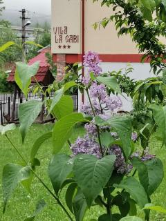 La Gabi - Azuga - 3