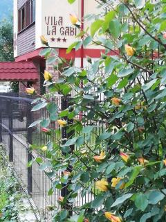 La Gabi - Azuga - 1