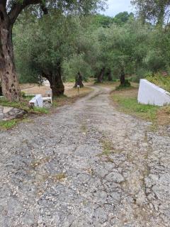 Evridiki Apartments - Mesongi - 4