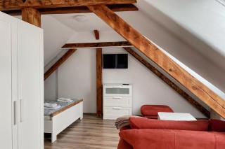 Apartmán Kamarytka - České Budějovice - 3
