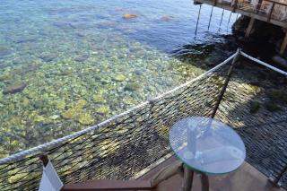 U Catoiu - Scilla - 8