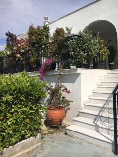 Sunny Sea House - Rafina - 9