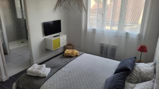 Chambre Le mans avec salle de bain privée - Le Mans - 8