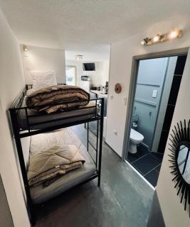 STUDIO CENTRE STATION - REFAIT A NEUF 4 PERSONNES - Laveissière - 5