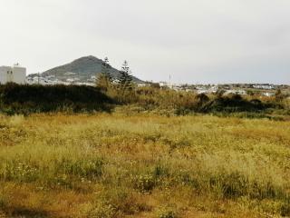 Sunday Studios - Agia Anna - 9
