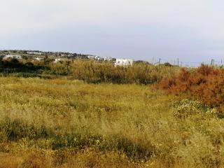 Sunday Studios - Agia Anna - 8