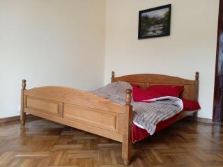 Елітні апартаменти в історичному центрі - Černivci - 2