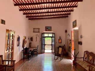 Surrounded by Cenotes, Mayan sites and Haciendas - Seyé - 0