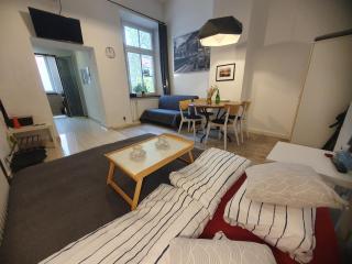 Stara Poczta Apartament - Sokołowsko - 9