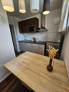 APARTMA FIREFLY1 - Ljubljana - 5