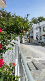 Nina’s Garden - Loutraki - 1