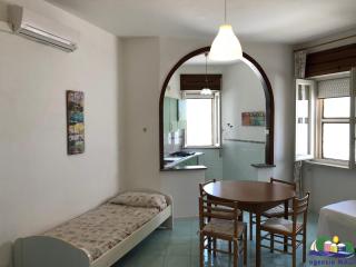 Magi - Tunnel Romano - Ponza - 2