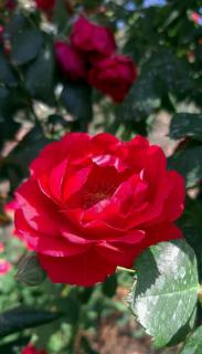 Valley Views Full House Stargazing in Valencia - Ayora - 4