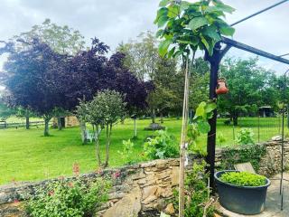 Le Bon Chemin gite - 3