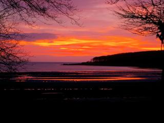 Orchard Cottage - Uk12525 - Garlieston - 6