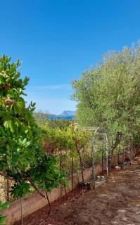 La casa di Annita - Tanaunella - 2