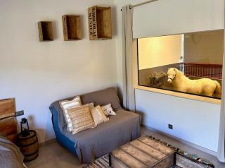 Logement atypique - Chevaux Miniatures Rhéa Horses - 9