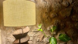 Agroturisme Son Cardaix - Artá - 1