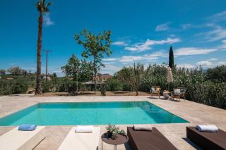Astarte Villas - The Pine Tree Villa with Pool - Makhairádhon - 2