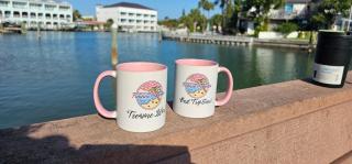 Funshine Pointe Capri - St Pete Beach - 0
